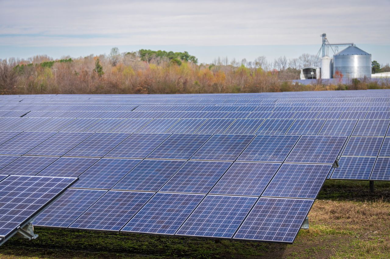 Home A large field of solar panels capturing renewable energy under a clear sky.
